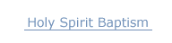 <Holy Spirit Baptism>